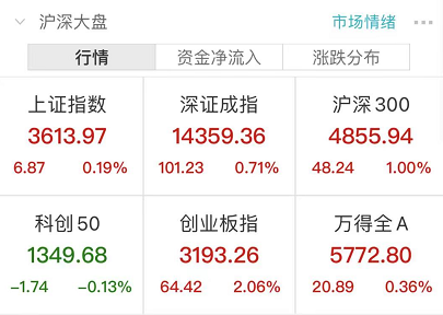 2024新奥彩开奖结果记录,深入执行方案数据_C版22.439