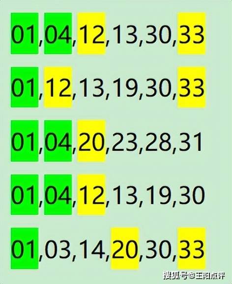 一肖一码精准一,实地分析数据计划_冒险版83.403