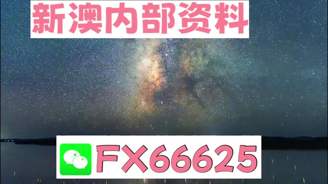 2024新澳资料免费大全,动态分析解释定义_特别版42.902