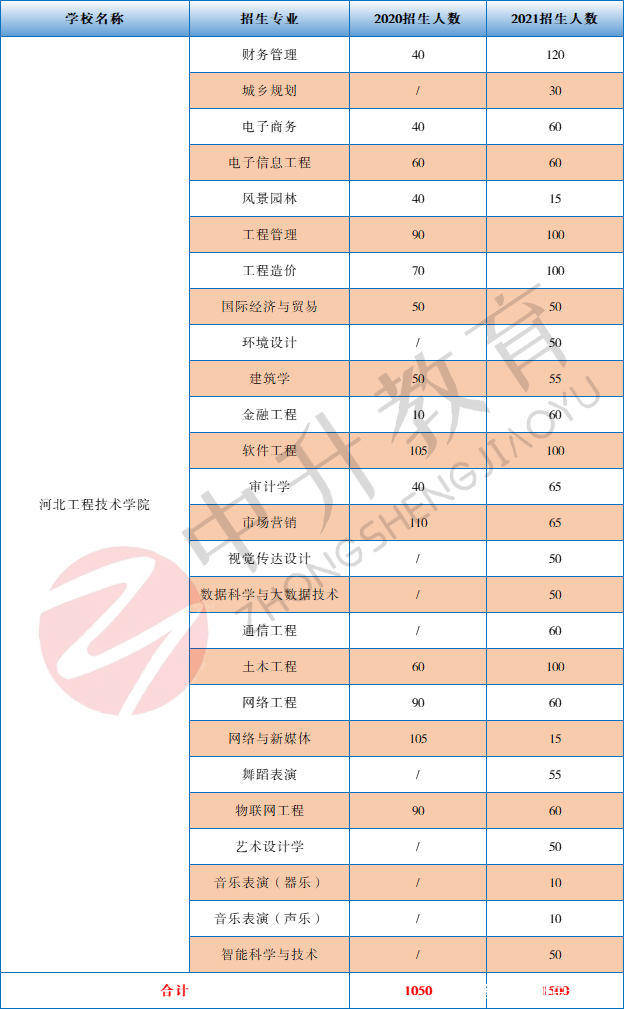 100%最准的一肖,调整细节执行方案_专业版78.119