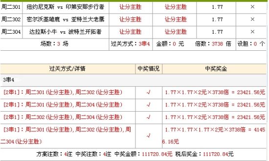 王中王一肖一特一中一,收益分析说明_MR25.397