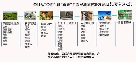 新澳内部一码精准公开,广泛的解释落实支持计划_精英款12.817