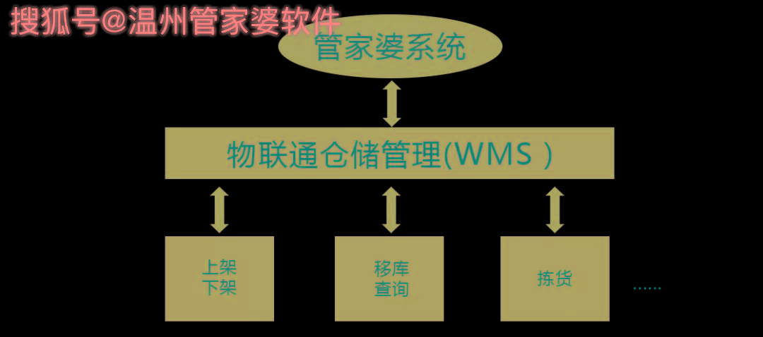 管家婆一肖一码温州纳,现状分析解释定义_基础版2.229