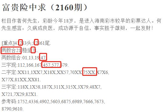 2024新澳门精准资料大全—欢迎,实时解析说明_顶级款13.470