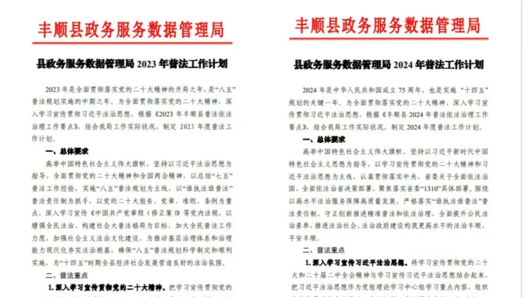 丰顺县数据和政务服务局最新发展规划深度探讨