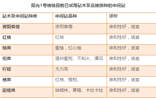 新奥门六开奖结果查询,实地解析说明_潮流版81.290