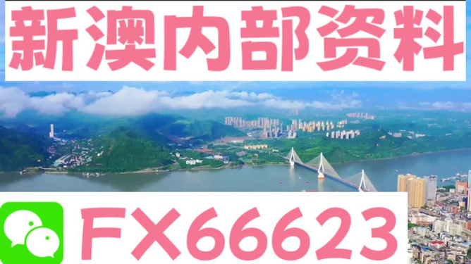 新澳免费资料精准大全,整体执行讲解_复古版69.960