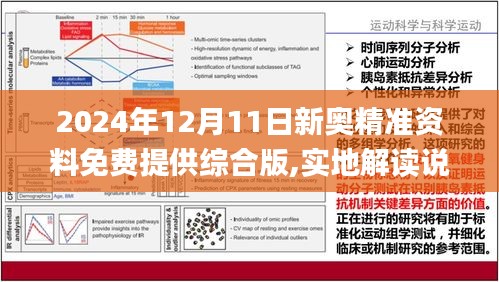 2024新奥精准资料免费大全078期,快速计划解答设计_网红版41.914