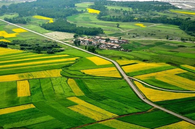 东黄花川乡天气预报更新