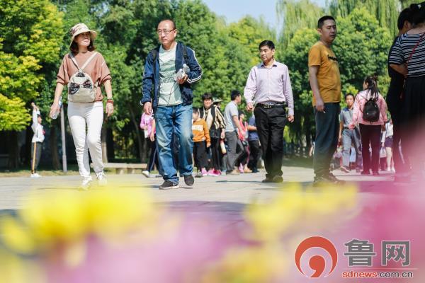 台城街道未来城市蓝图发展规划揭晓，塑造美好未来新面貌