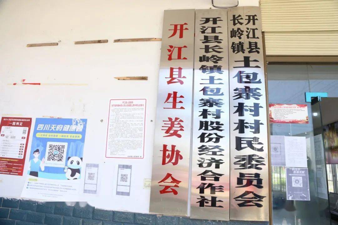 容城县卫生健康局最新发展规划概览