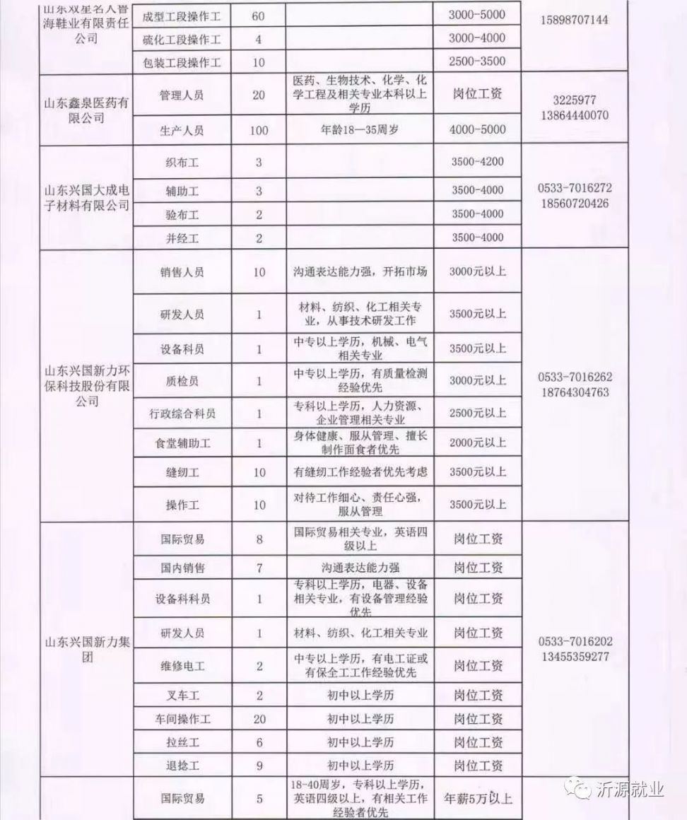 河口区统计局最新招聘信息与招聘细节深度解析